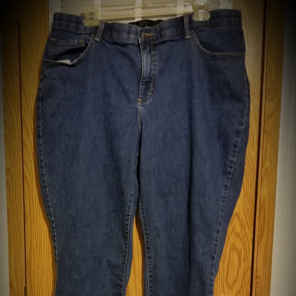 Women Plus size Lee jeans straight
